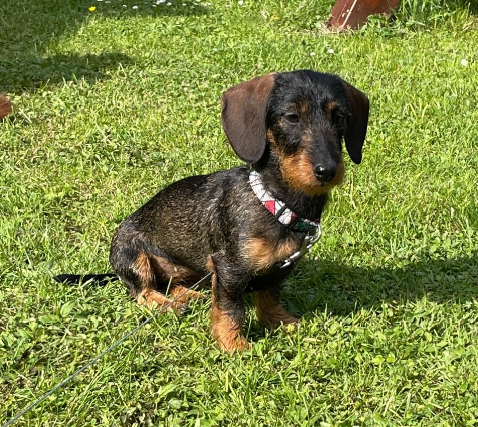 dior von sunderhaar